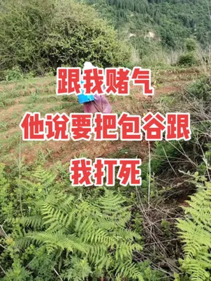 新鲜农村365视频，记录乡村生活的真实脉动