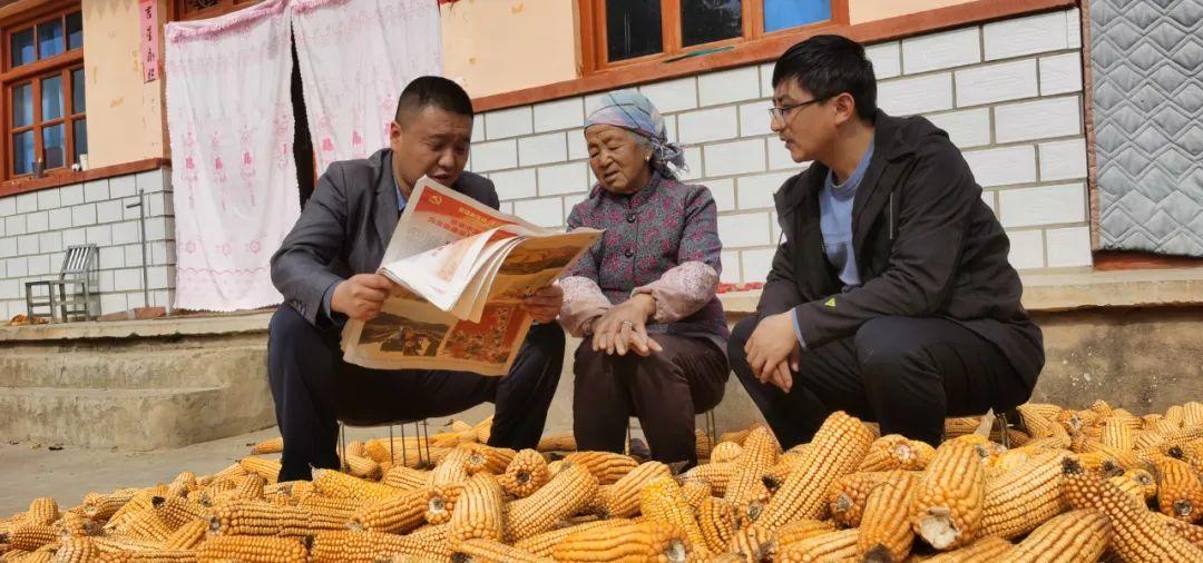 365玉米养殖视频，解锁高效农业的秘密