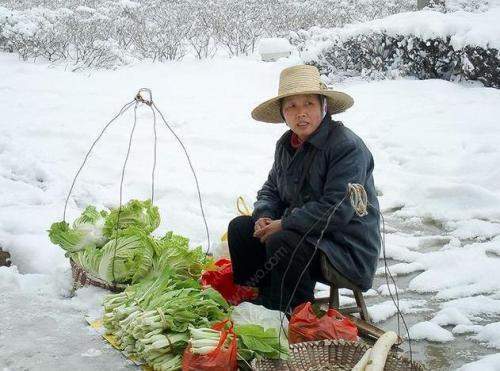 卖菜老人获博主帮助后遇车祸去世,温暖与遗憾的交织 卖菜老人获博主帮助后遇车祸去世,温暖与遗憾的交织