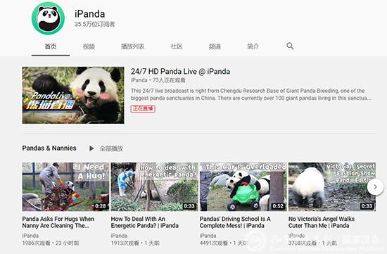 365dni中文完整版，西瓜视频上的波兰黑马，为什么让全网上头？