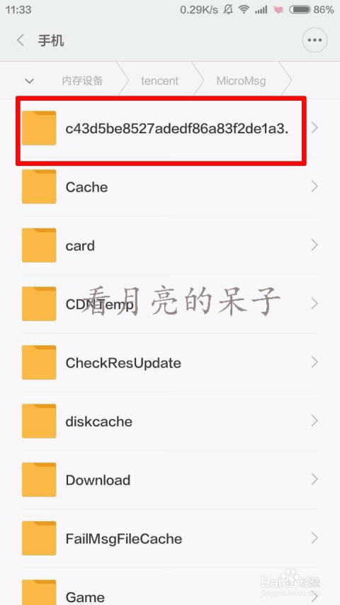 电影365din在哪个视频可以看？我翻遍了全网帮你找答案