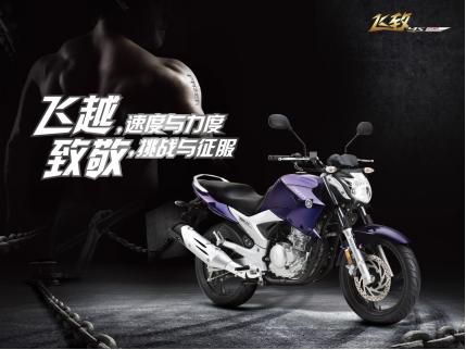 雅马哈RX-V365功放效果调试指南，从新手到熟手的实战心得