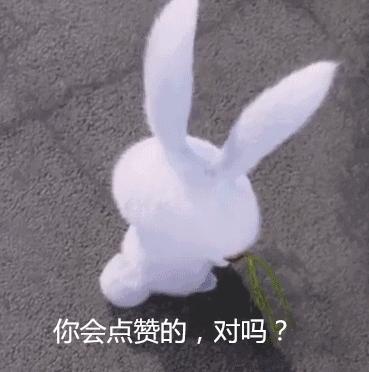 抖音最火的365包包视频，到底藏着什么秘密？
