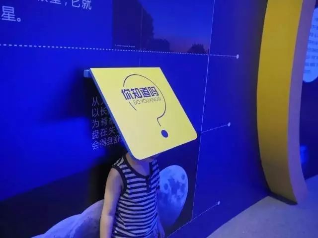 悦汇365视频，探索生活乐趣的数字乐园