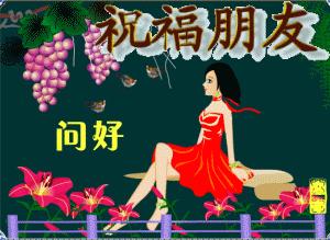 365祝福小品视频，用创意编织每日的温暖
