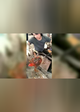 365行行行出状元视频，在平凡手艺里，看见不凡的状元魂