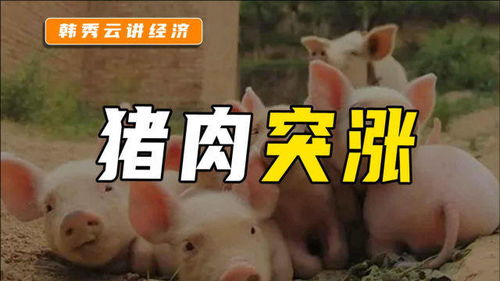猪价为什么突然连续上涨? 猪价为什么突然连续上涨?