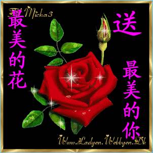 365个早上好歌曲视频，用Golang给生活加点仪式感