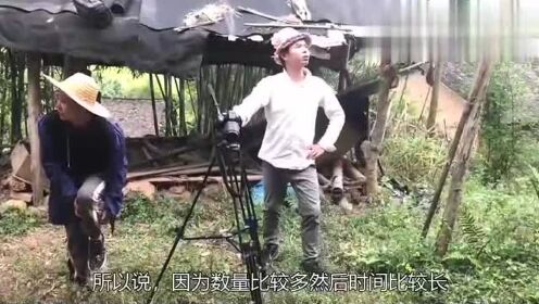 我的农村365中期视频，从瞎拍到有谱的这半年